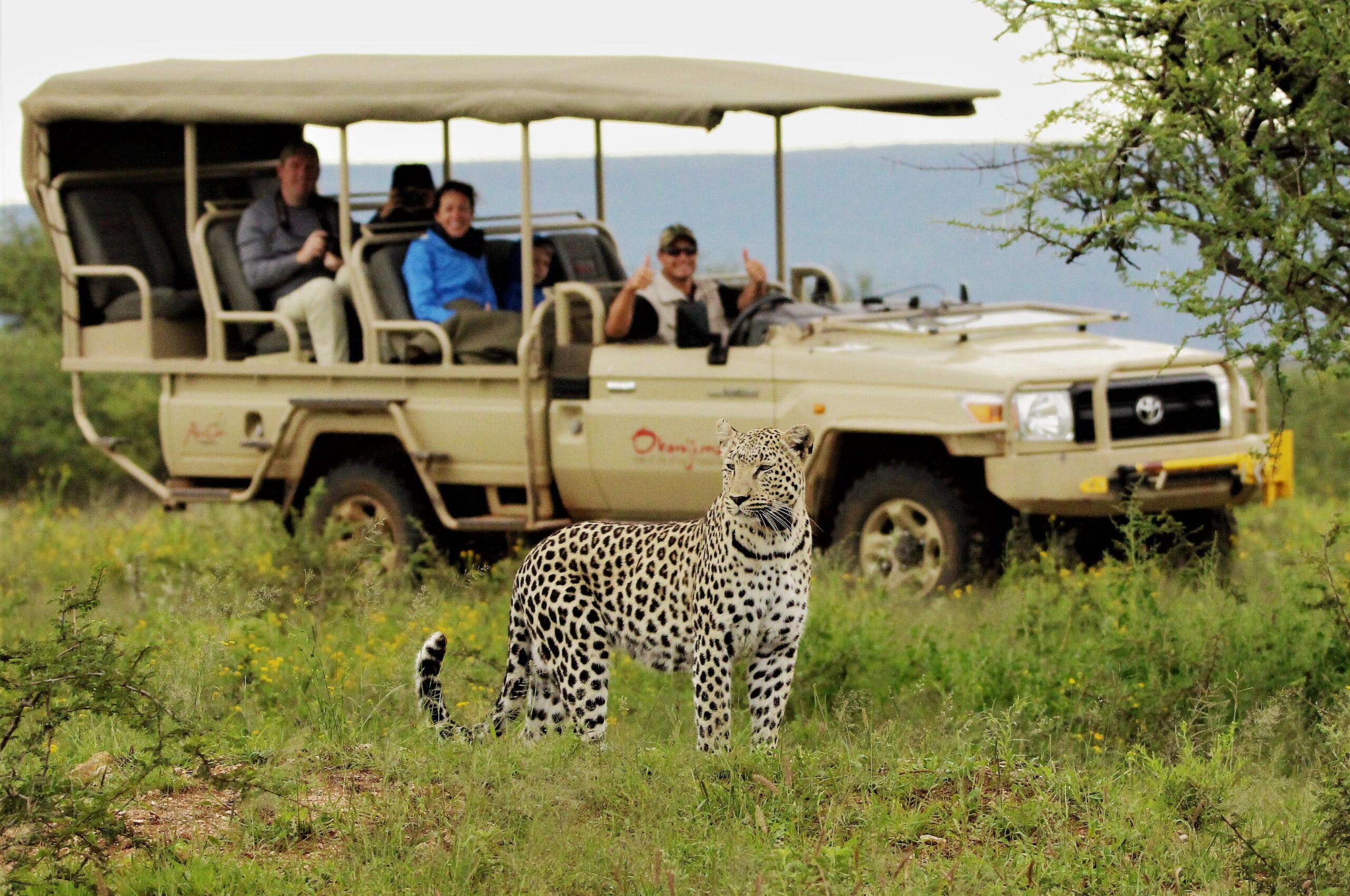 Discover the Untamed Beauty: Top 10 Wildlife Experiences in Uganda