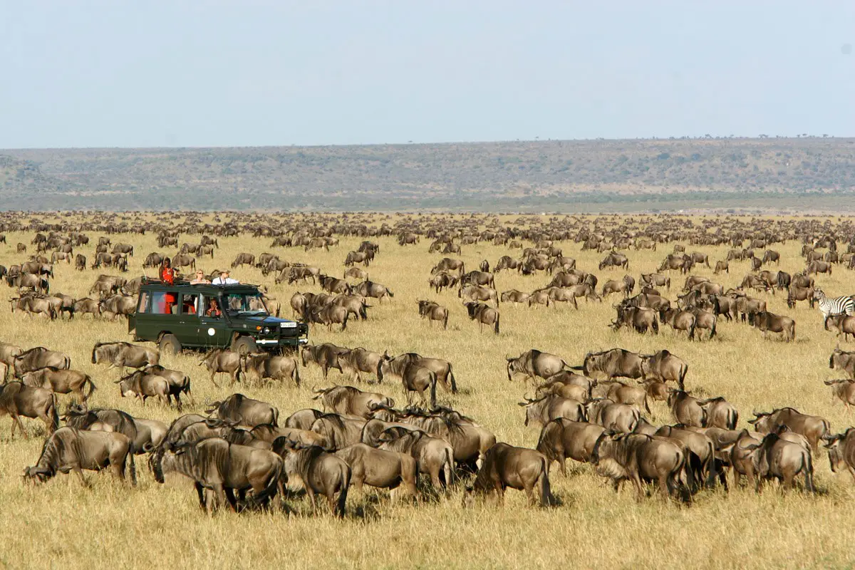 Best vacation in East Africa, Kenya