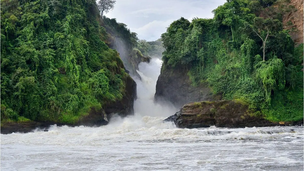 Murchison falls safaris Uganda