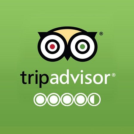 Trip advisor African safaris