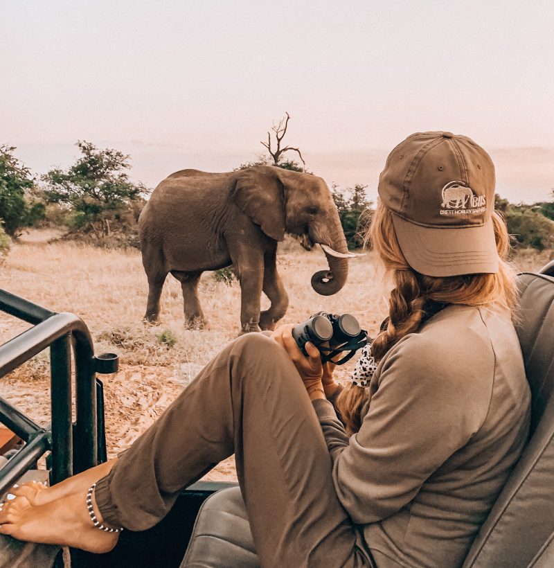 Best vacations in East Africa, Uganda Wildlife and Gorilla Safaris