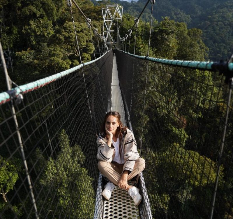 Things to do in Rwanda Canopy walk Nyungwe national park